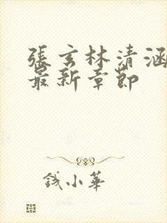 张玄林清涵全文最新章节