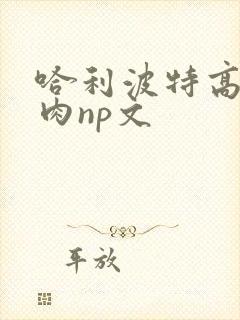 哈利波特高h纯肉np文