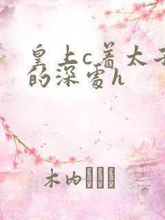 皇上c着太子妃的深处h