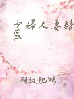 少妇人妻精品一区