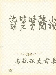 沈明时陈小雨小说免费阅读最新章节