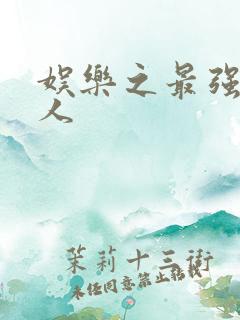 娱乐之最强经纪人