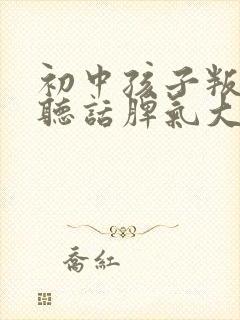 初中孩子叛逆不听话脾气大怎么办