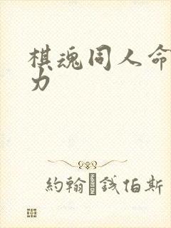 棋魂同人命运之力