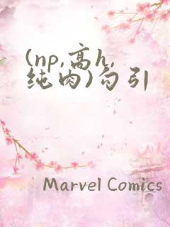 (np,高h,纯肉)勾引