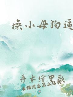 操小母狗逼