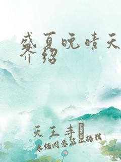 盛夏晚晴天剧情介绍