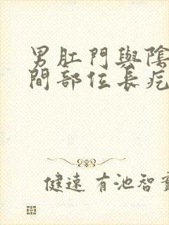 男肛门与阴囊中间部位长疙瘩