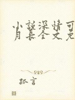 小说深情可抵岁月长全文免费阅读