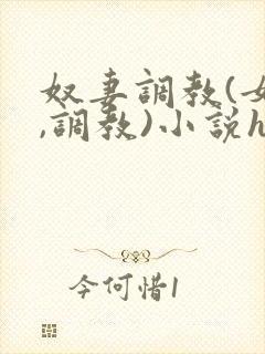 奴妻调教(女m,调教)小说hhh