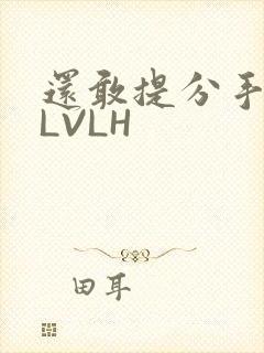 还敢提分手吗嗯LVLH