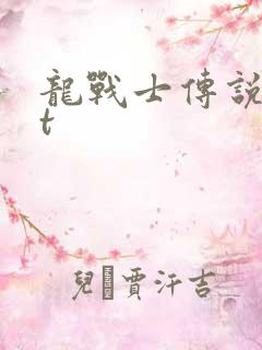 龙战士传说txt