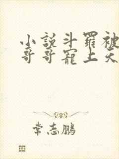 小说斗罗被唐三哥哥宠上天