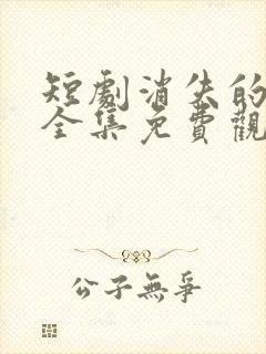 短剧消失的厨神全集免费观看高清