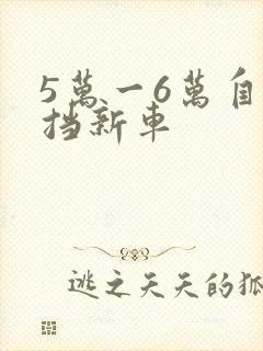 5万一6万自动挡新车