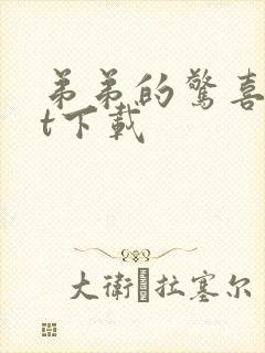 弟弟的惊喜txt下载