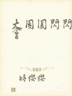 大团圆闪闪相亲会