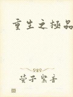 重生之极品大鳄