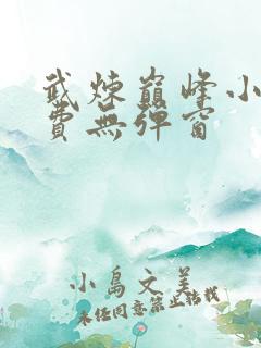 武炼巅峰小说免费无弹窗