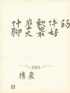 什么软件的语音聊天最好