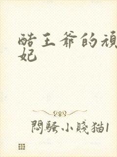 酷王爷的顽皮王妃