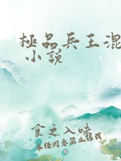 极品兵王混山村 小说