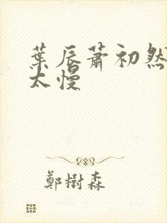 叶辰萧初然更新太慢