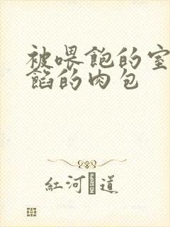 被喂饱的室友爆馅的肉包