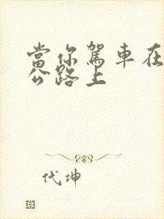 当你驾车在高速公路上