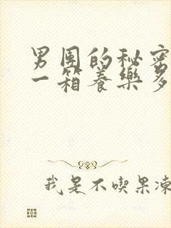 男团的秘密BY一箱养乐多小说