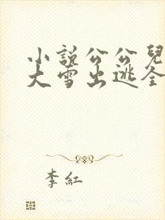 小说公公儿媳妇大雪出逃全文阅读
