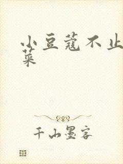 小豆蔻不止是颗菜