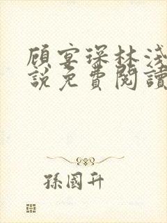 顾宴琛林浅月小说免费阅读最新章节