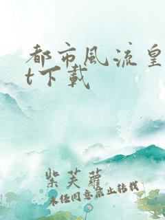 都市风流皇txt下载