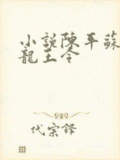 小说陈平苏雨琪龙王令