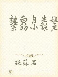 被白月光姐姐囚禁的小说免费阅读