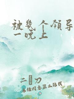 被几个领导玩弄一晚上