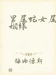 男属蛇女属兔的姻缘