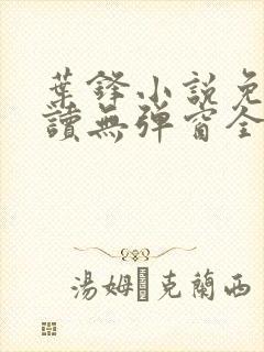 叶锋小说免费阅读无弹窗全文