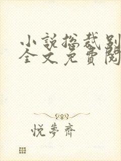 小说总裁别太坏全文免费阅读