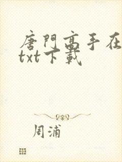 唐门高手在异世txt下载