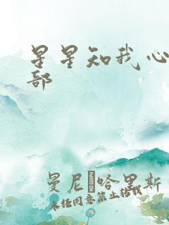 星星知我心第二部