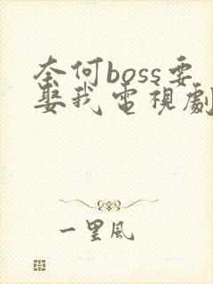 奈何boss要娶我电视剧免费观看