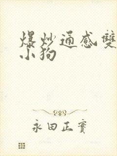 爆炒通感双胞胎小狗