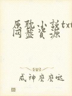 原耽小说txt网盘资源