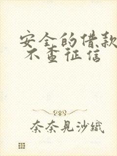 安全的借款平台 不查征信