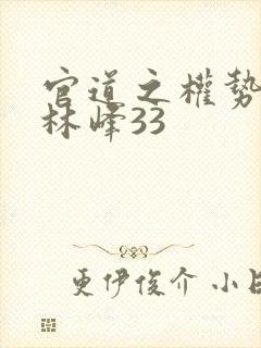 官道之权势滔天林峰33