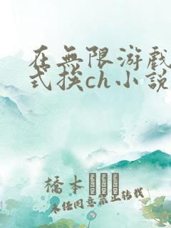 在无限游戏里花式挨ch小说