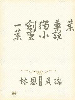 一剑独尊叶玄,叶灵小说