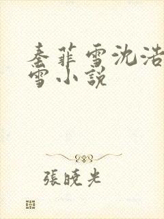 秦菲雪沈浩秦菲雪小说